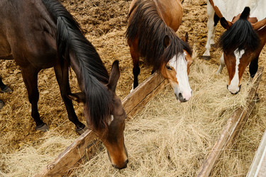 Similar image 21921756