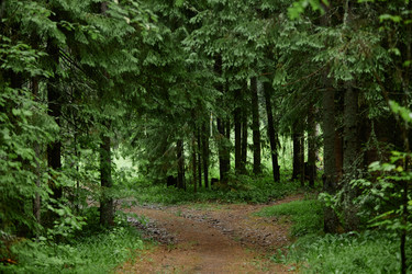 Similar image 21923890