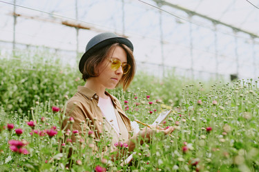 Similar image 21930913