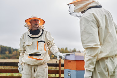 Similar image 21922977