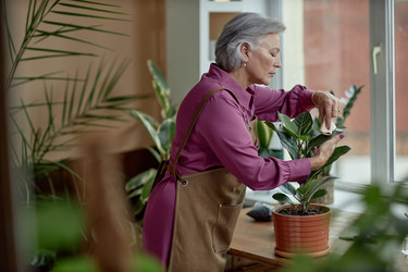 Similar image 21920757