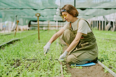 Similar image 21930306