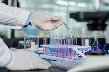 Similar image 21931379