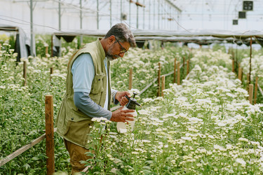 Similar image 21924974