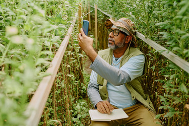 Similar image 21919674