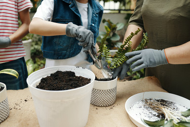 Similar image 21919709