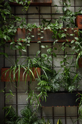 Similar image 21929044