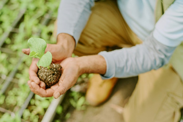 Similar image 21925873