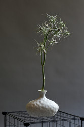 Similar image 21928056