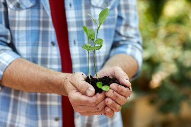 Similar image 21922296