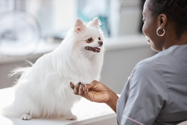 Similar image 21921711