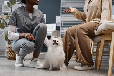 Similar image 21924473