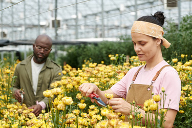 Similar image 21930665