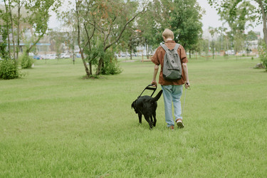 Similar image 21931569