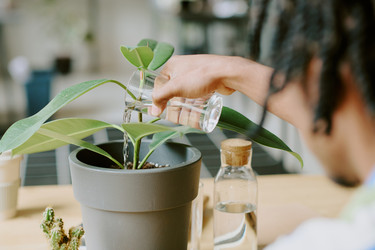 Similar image 21928375