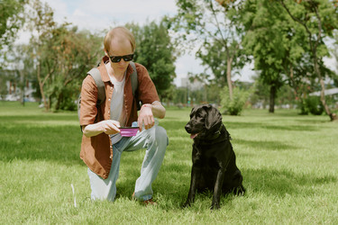 Similar image 21927283