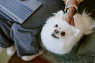 Similar image 21921363