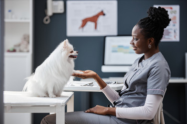 Similar image 21929596