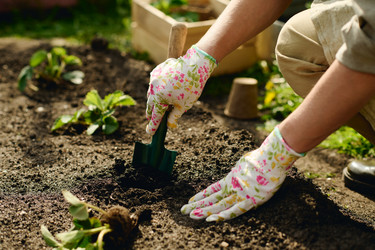 Similar image 21925614