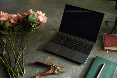 Similar image 21924722