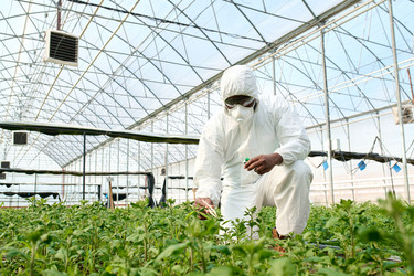 Similar image 21924600