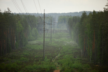 Similar image 21929293