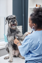 Similar image 21931566