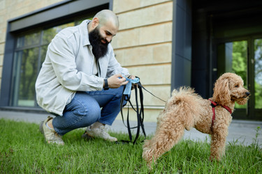 Similar image 21923156