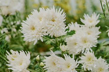 Similar image 21923449