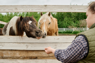 Similar image 21925286