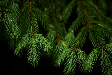 Similar image 21919931