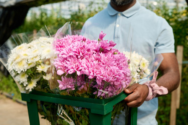 Similar image 21921225