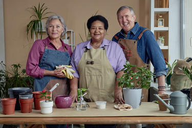 Similar image 21931618