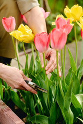 Similar image 21923208