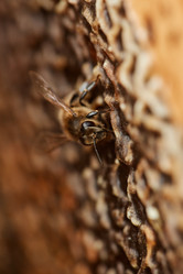 Similar image 21927233