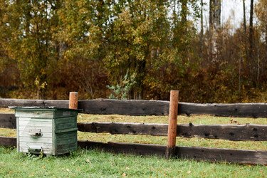 Similar image 21928257