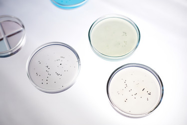 Similar image 21925265