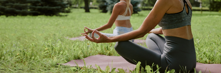 Similar image 21918540