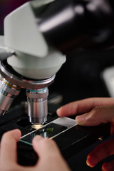 Similar image 21924350