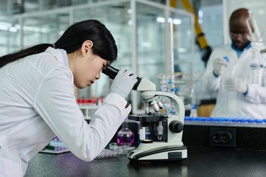 Similar image 21919938