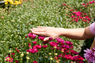 Similar image 21925196