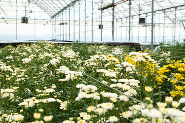 Similar image 21928608