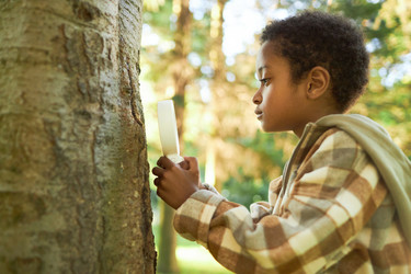 Similar image 21928165