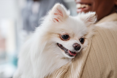 Similar image 21921677