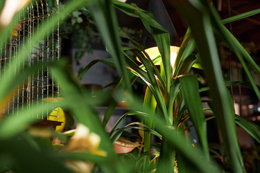 Similar image 21924457