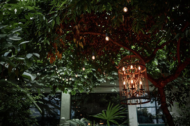 Similar image 21919487