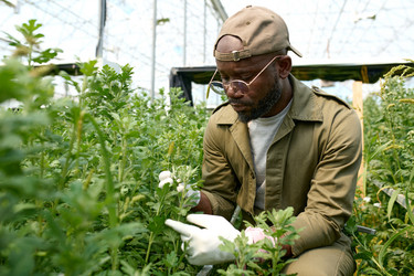 Similar image 21923281