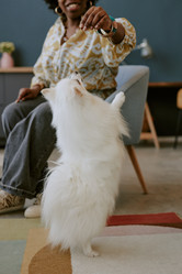 Similar image 21930456