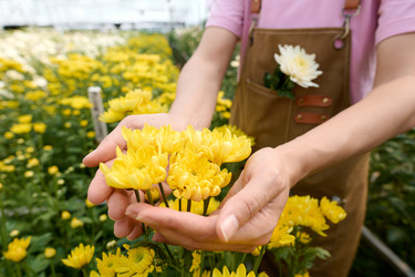 Similar image 21922335