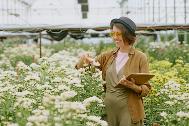 Similar image 21924725